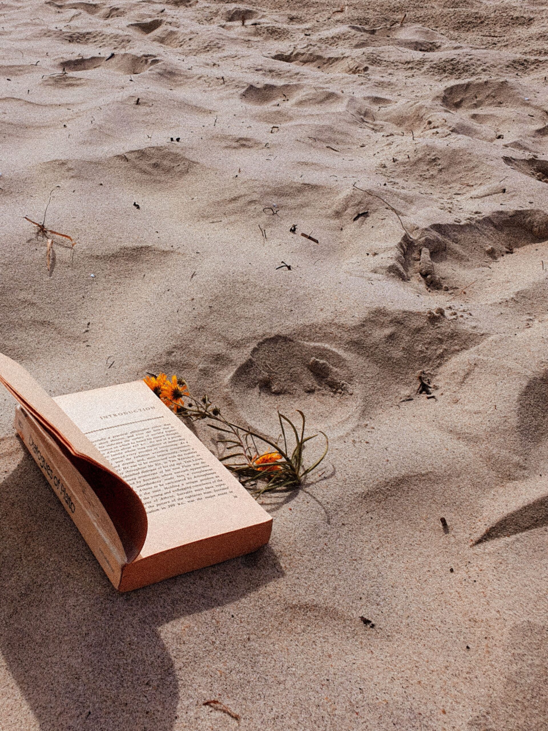 Stop Waiting for Life to Feel Exciting: 100 Simple Ways to Romanticize Your Life